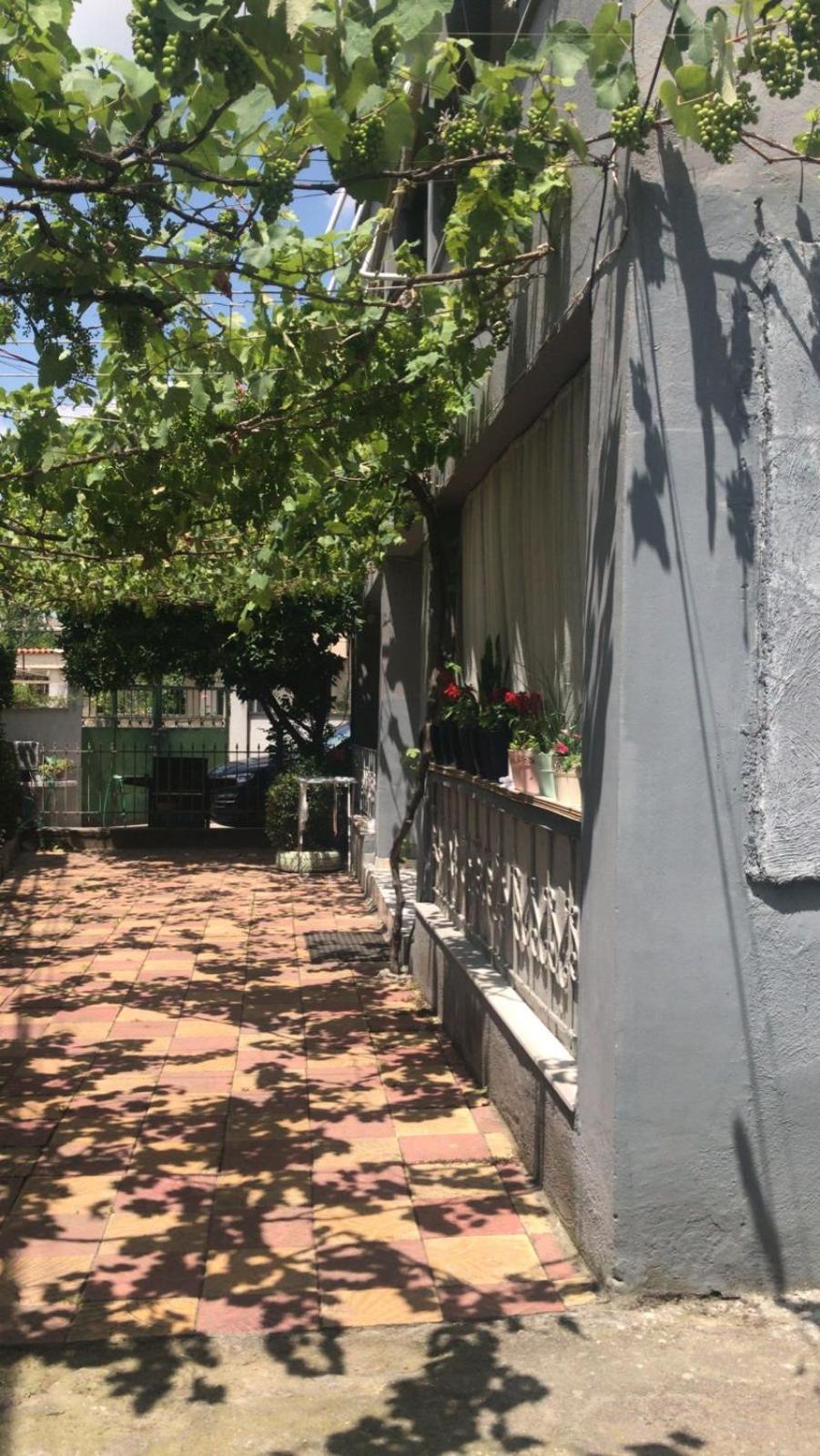 Green Door House Tiranë Luaran gambar